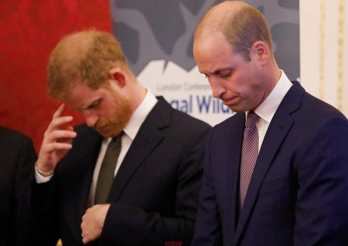 « Le prince William malade d’inquiétude : les révélations choc de Meghan et Harry »