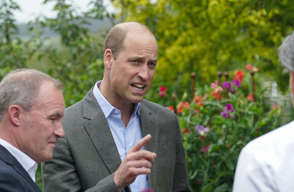 Le prince William surprend les passants en devenant cuistot végan