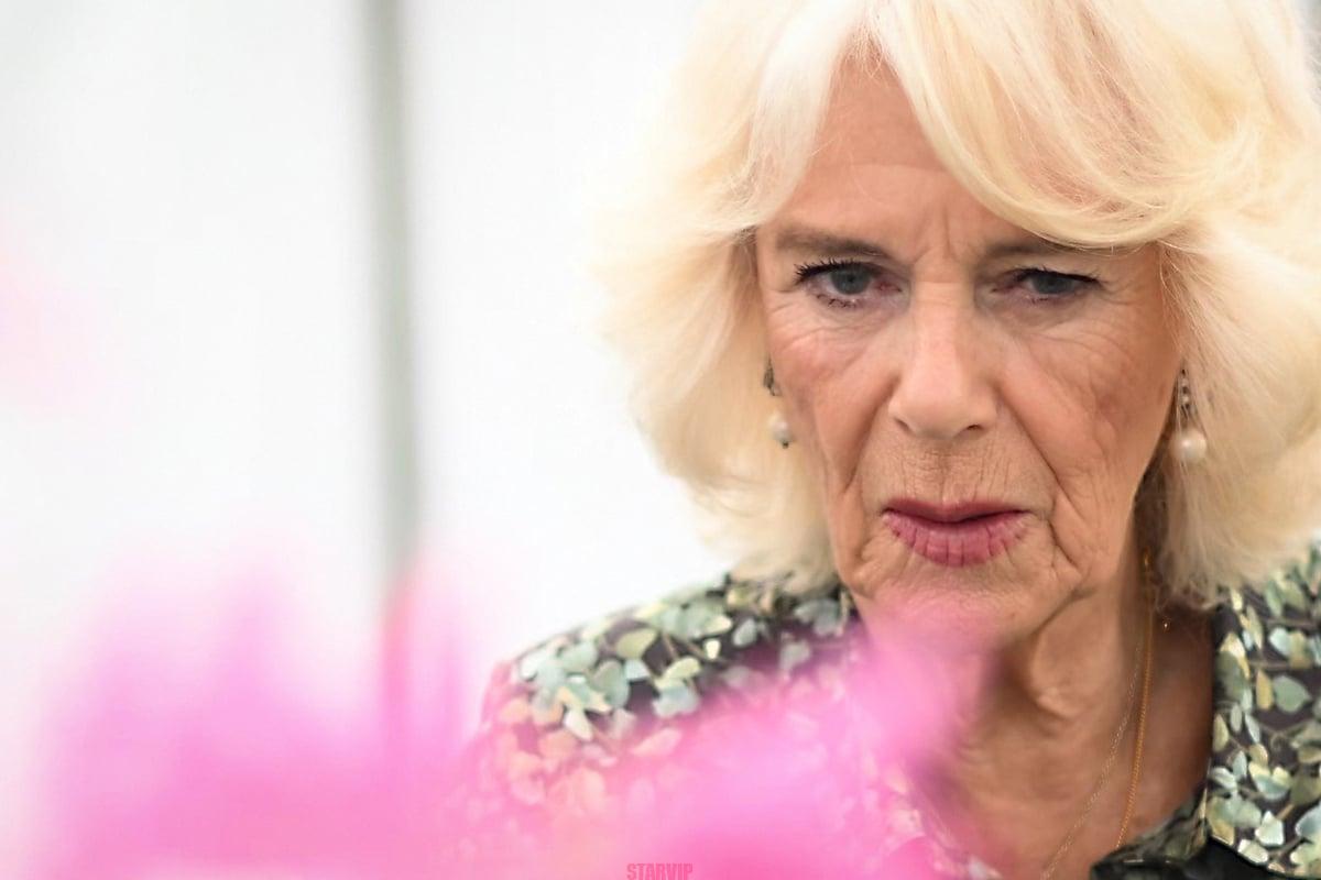 La triste disparition du premier amour de la reine Camilla Parker Bowles