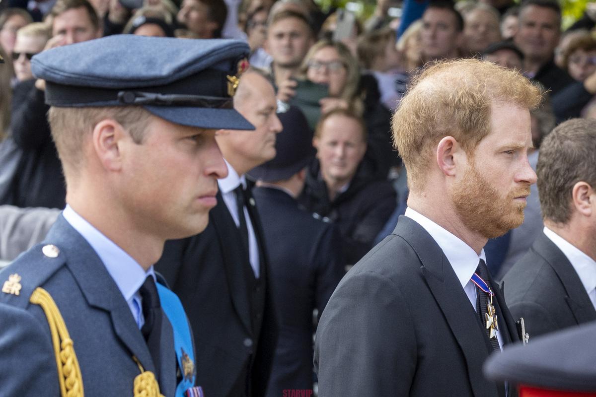 Le prince William se réconcilie avec Harry : une première en six ans