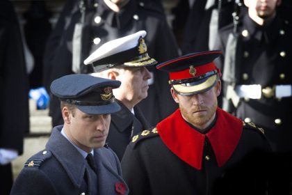 La famille Spencer : le lien indéfectible entre William et Harry